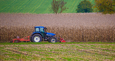 Agriculture