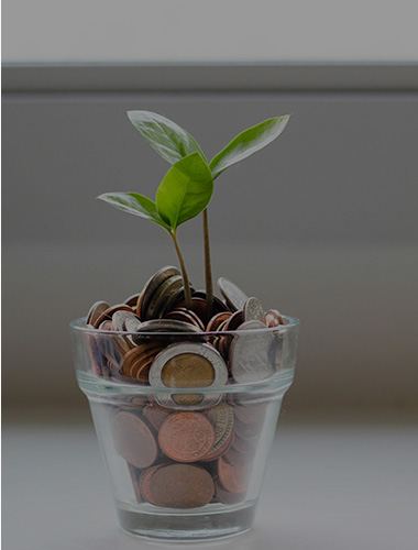 Financial Freedom